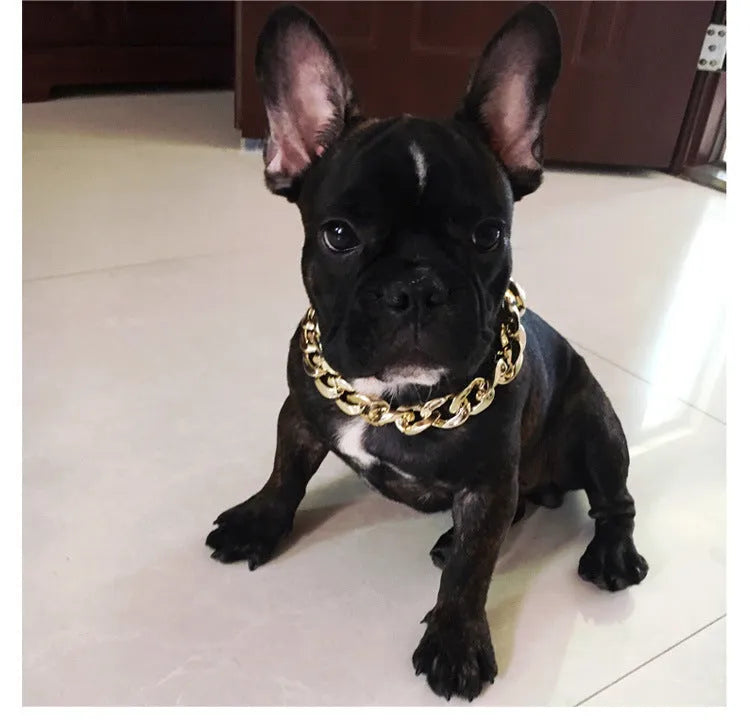 Gold colour chain style dog collar with buckle for small to medium dogs on adjustable 21-50 cm setting