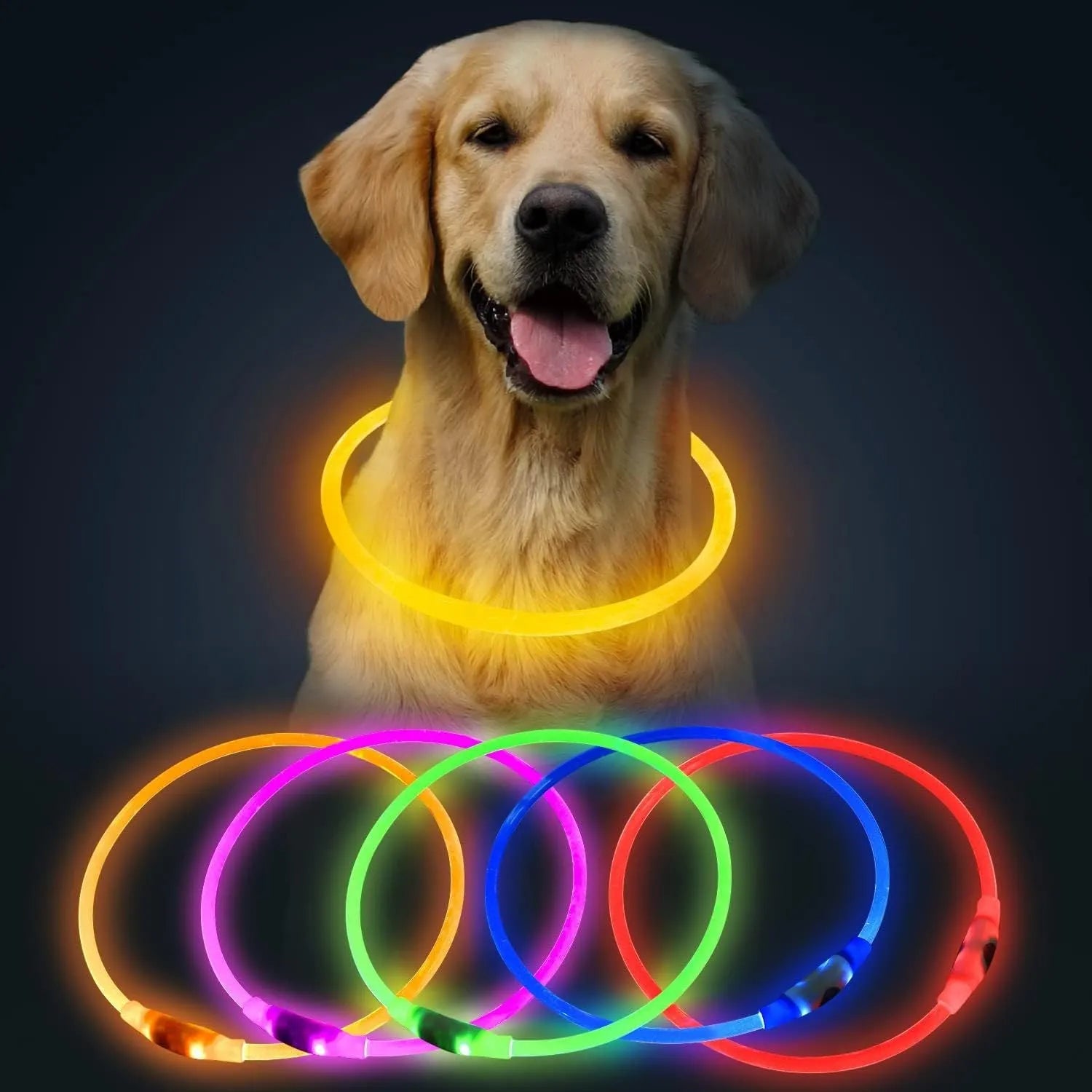 Blue USB rechargeable LED dog collar with glowing light on adjustable TPU strap