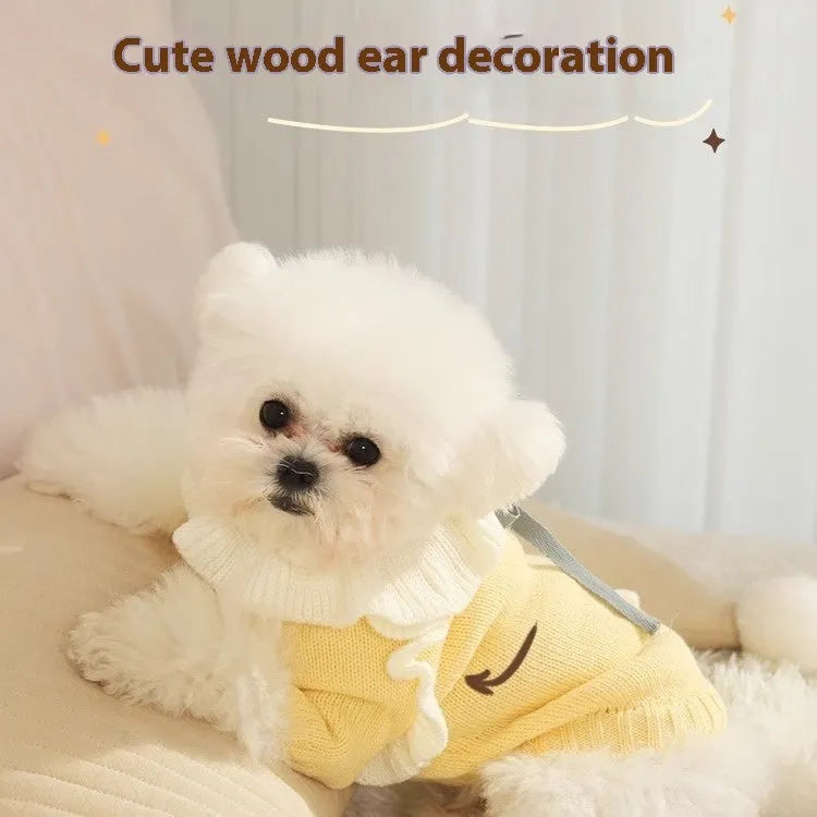 Yellow acrylic knit dog sweater jumper on a small dog, showing casual pullover style.