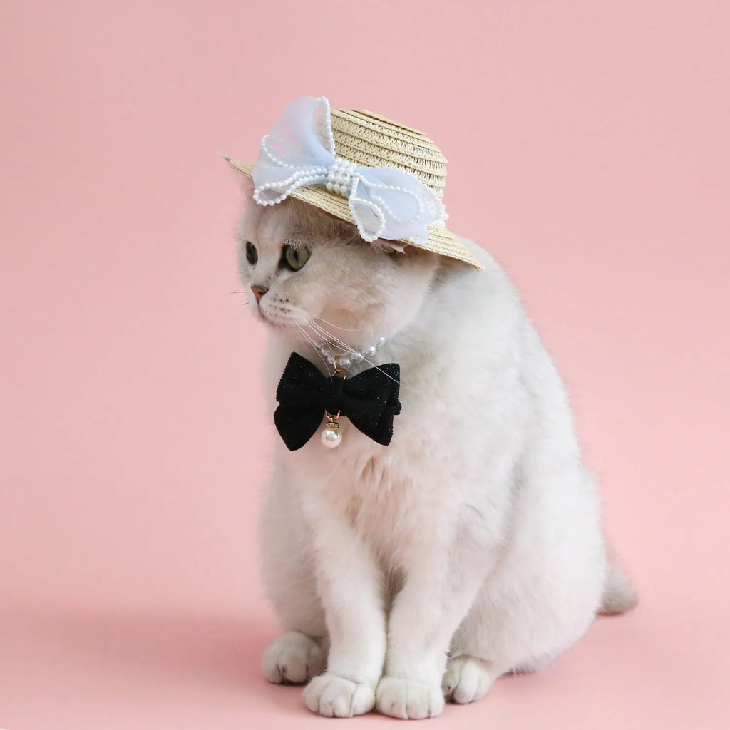 Cat wearing a woven Lafite leaves straw hat with a blue pearl butterfly bow.