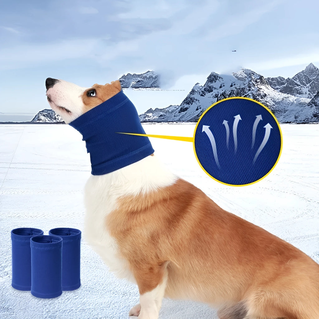 Blue polyester dog bandana scarf tied around a dog's neck, shown in size M.