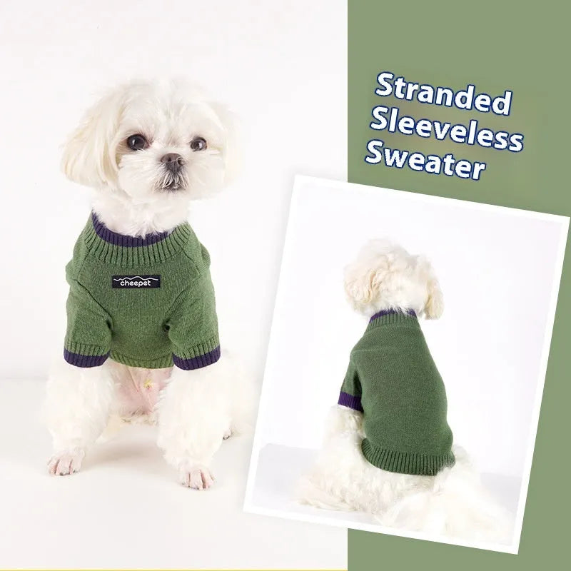 British style two-leg dog sweater in wool blend, shown in Crown Blue colour on a dog.