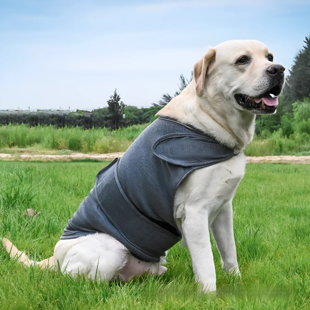 Dog wearing separation anxiety tank top in brocade cotton Ponte-de-Roma fabric