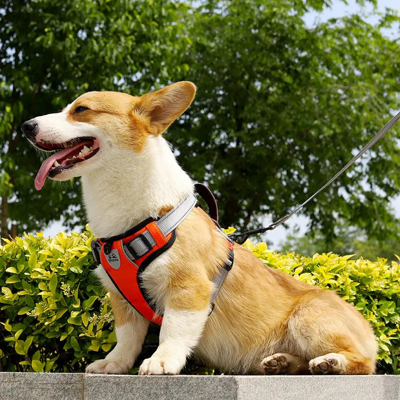 Polyester dog chest strap vest with optional hand-held rope in various colours for medium to extra-large dogs