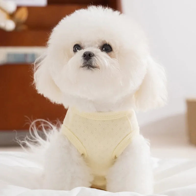 Breathable mesh pet shirt for small dogs and cats in blue or yellow with cat patch and button closure.