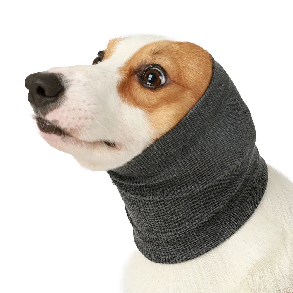 Blue polyester dog bandana scarf tied around a dog's neck, shown in size M.