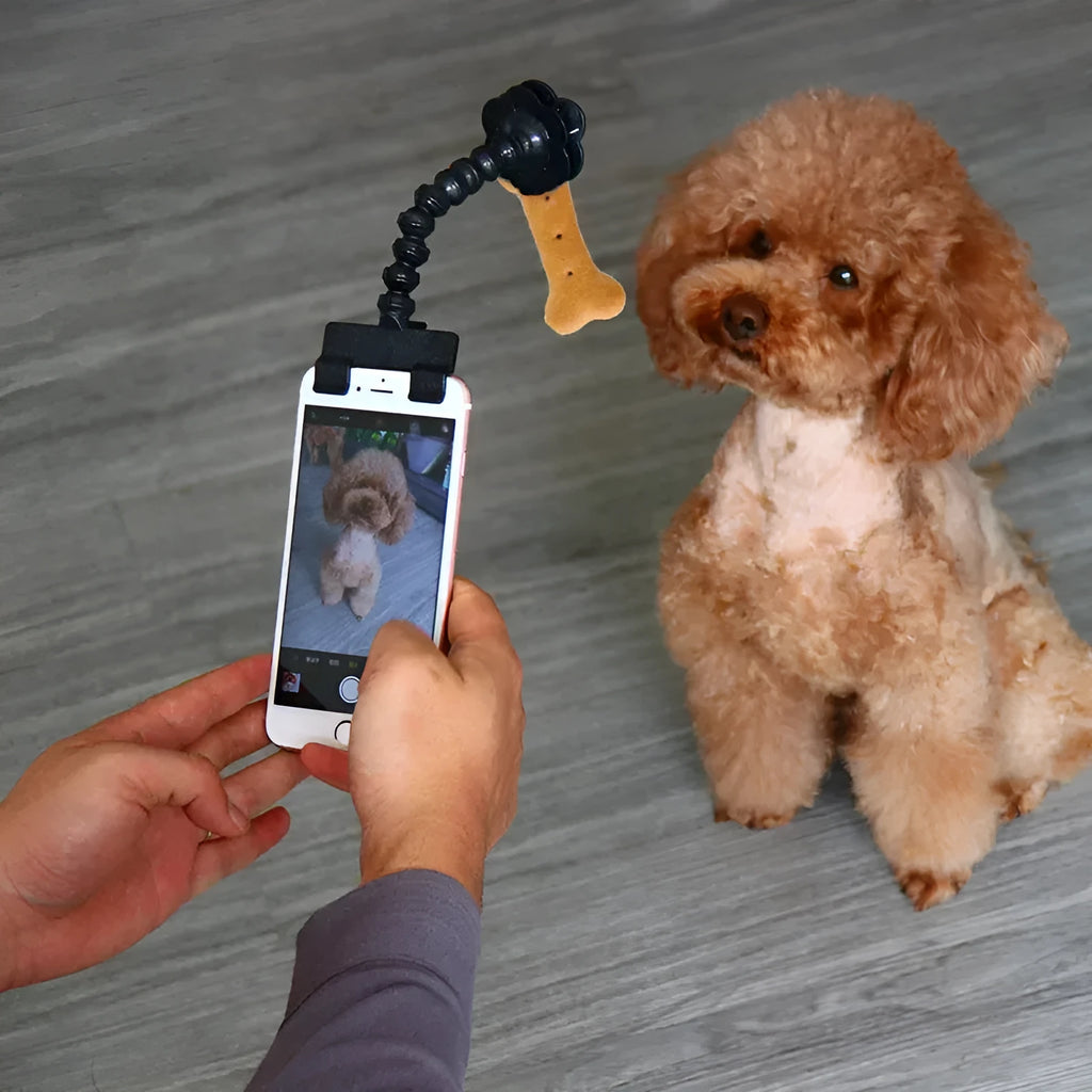 Black pet photography mobile phone holder with snack clip for attracting cat and dog attention during photos