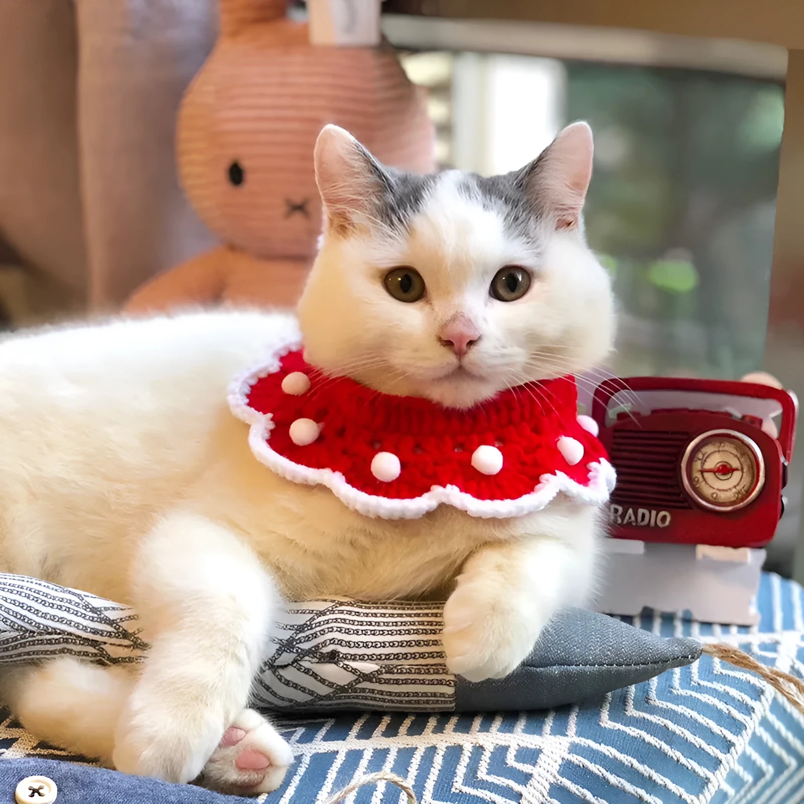 Wool knitted pet collar with cartoon pattern in milk cotton showing four size options for dogs cats rabbits