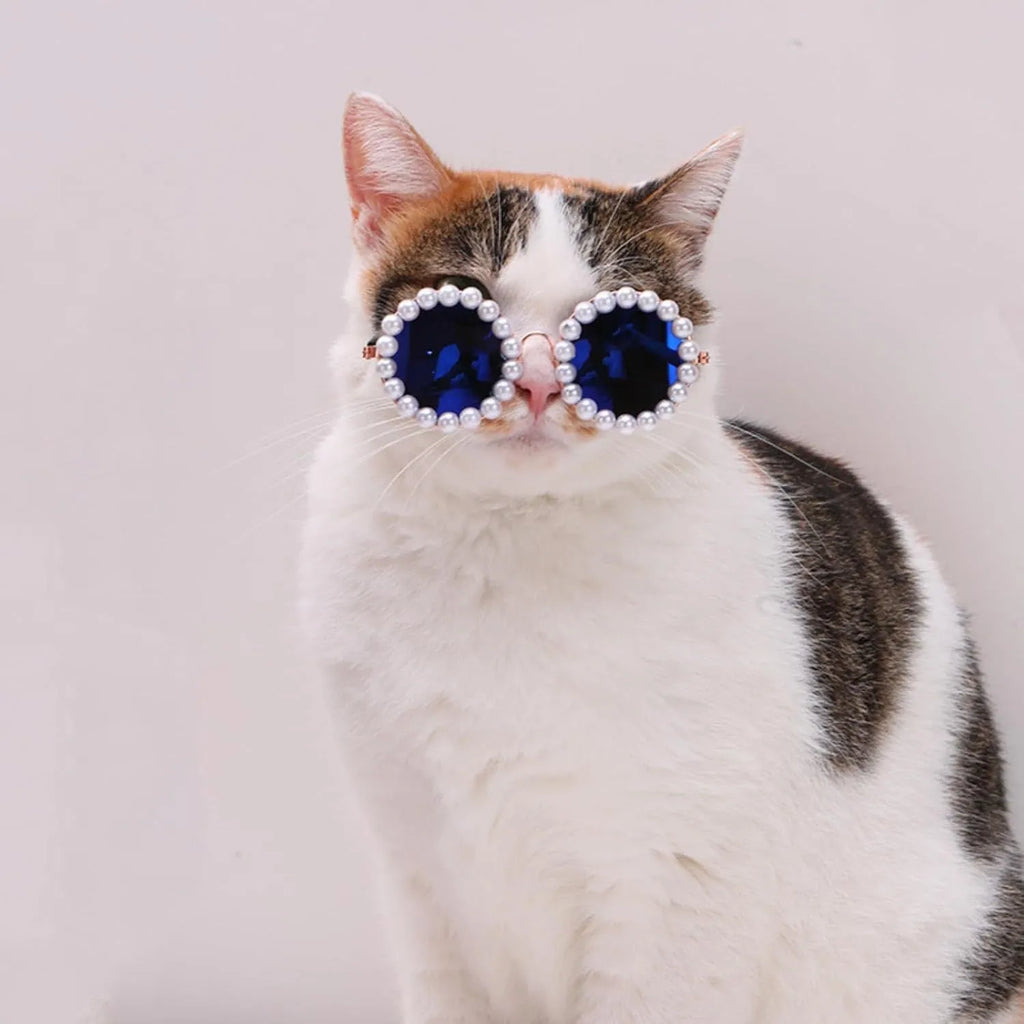 Pearl-rimmed round sunglasses on a cat and dog for costume dress up