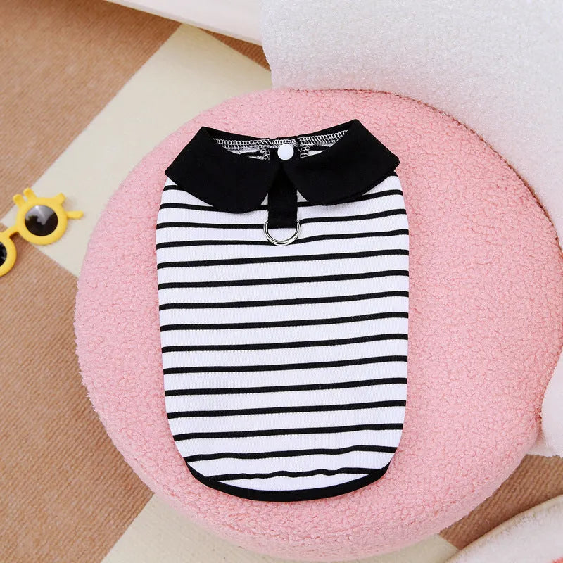 Dog wearing cotton summer T-shirt with matching striped skirt, showing complete two-piece outfit