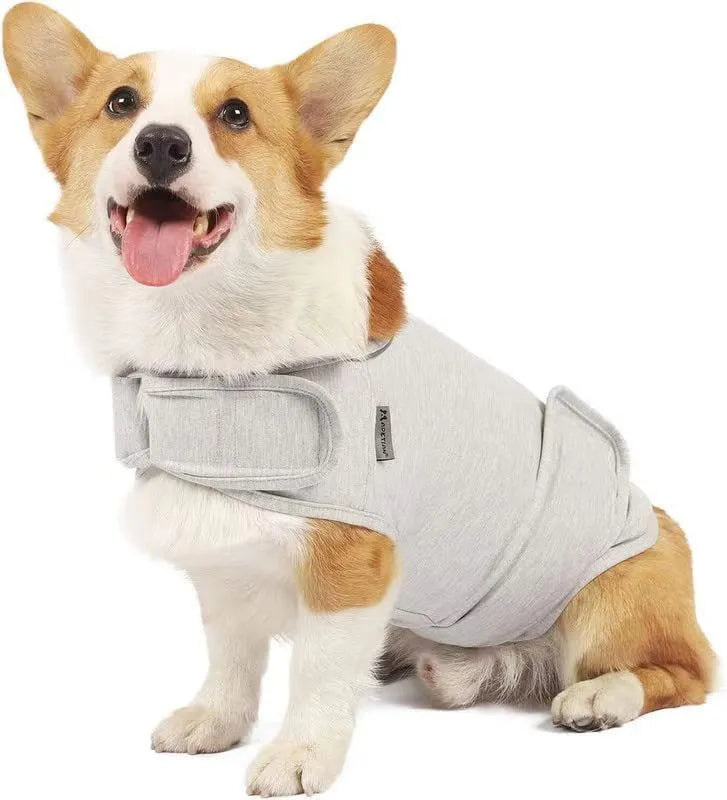 Dog wearing separation anxiety tank top in brocade cotton Ponte-de-Roma fabric