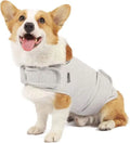 Dog wearing separation anxiety tank top in brocade cotton Ponte-de-Roma fabric