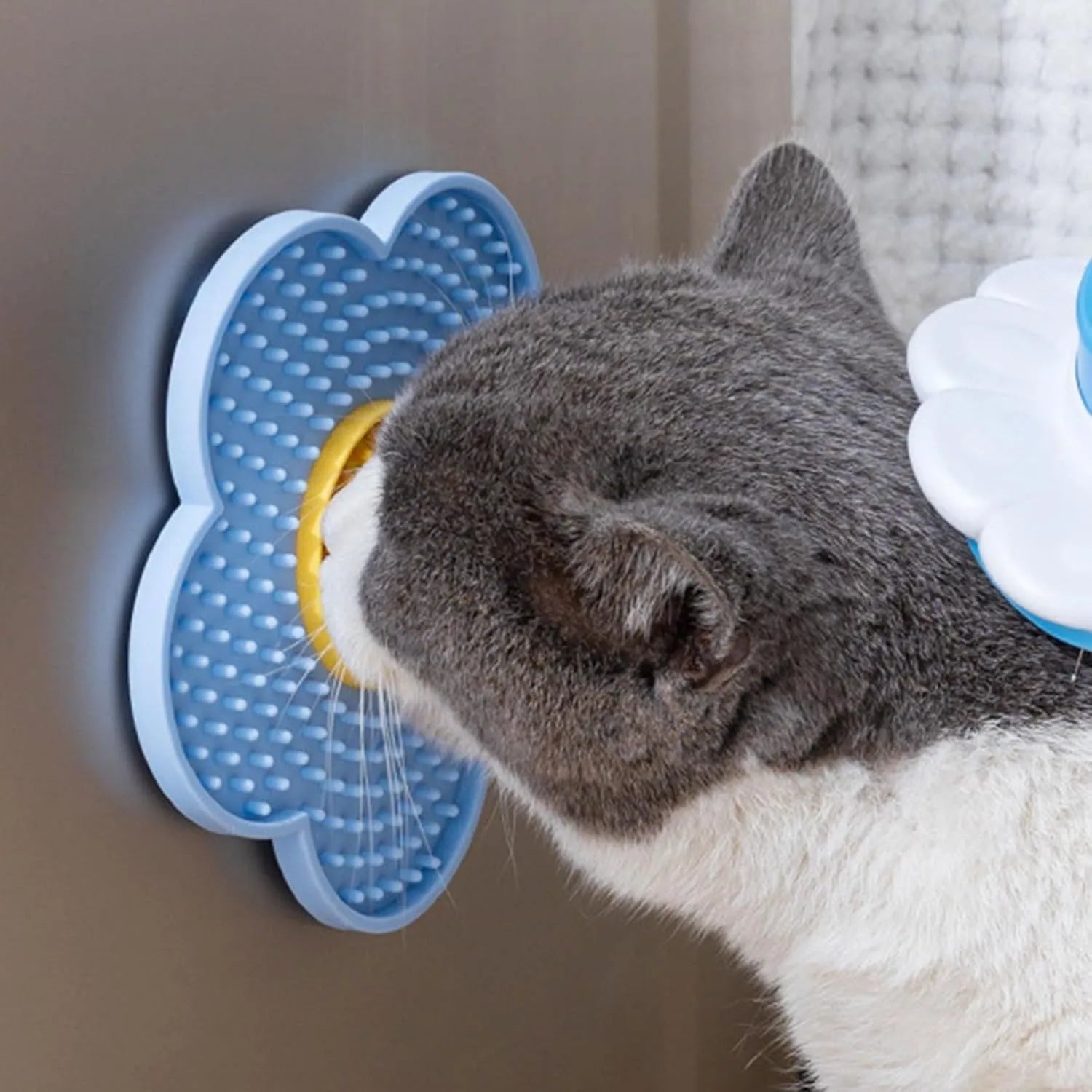 Flower-shaped blue silicone pet lick mat with suction cups on a smooth surface