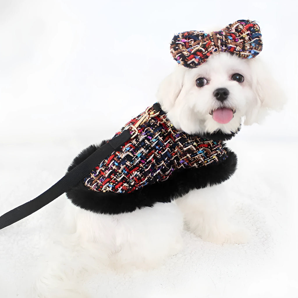 A dog wearing a classic cloth cloak attached to a chest harness, with an integrated hand-holding rope lead.