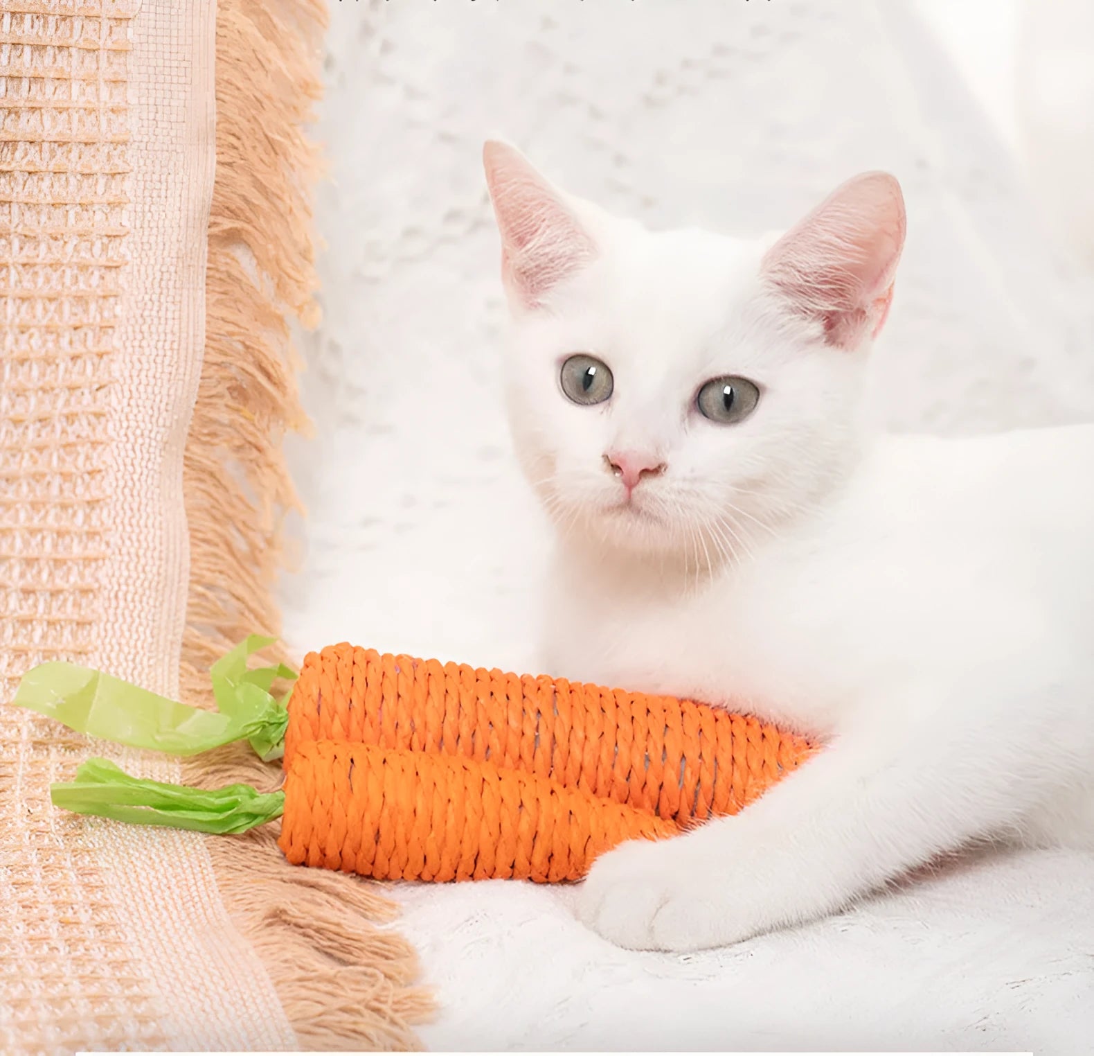 Cat toys bundle with paper crinkle toys, plastic ringing stones, carrot-shaped chews, and grinding sticks