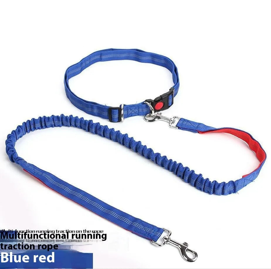 2.5cm wide outdoor running dog leash with night reflective sling in grey and green colour combination