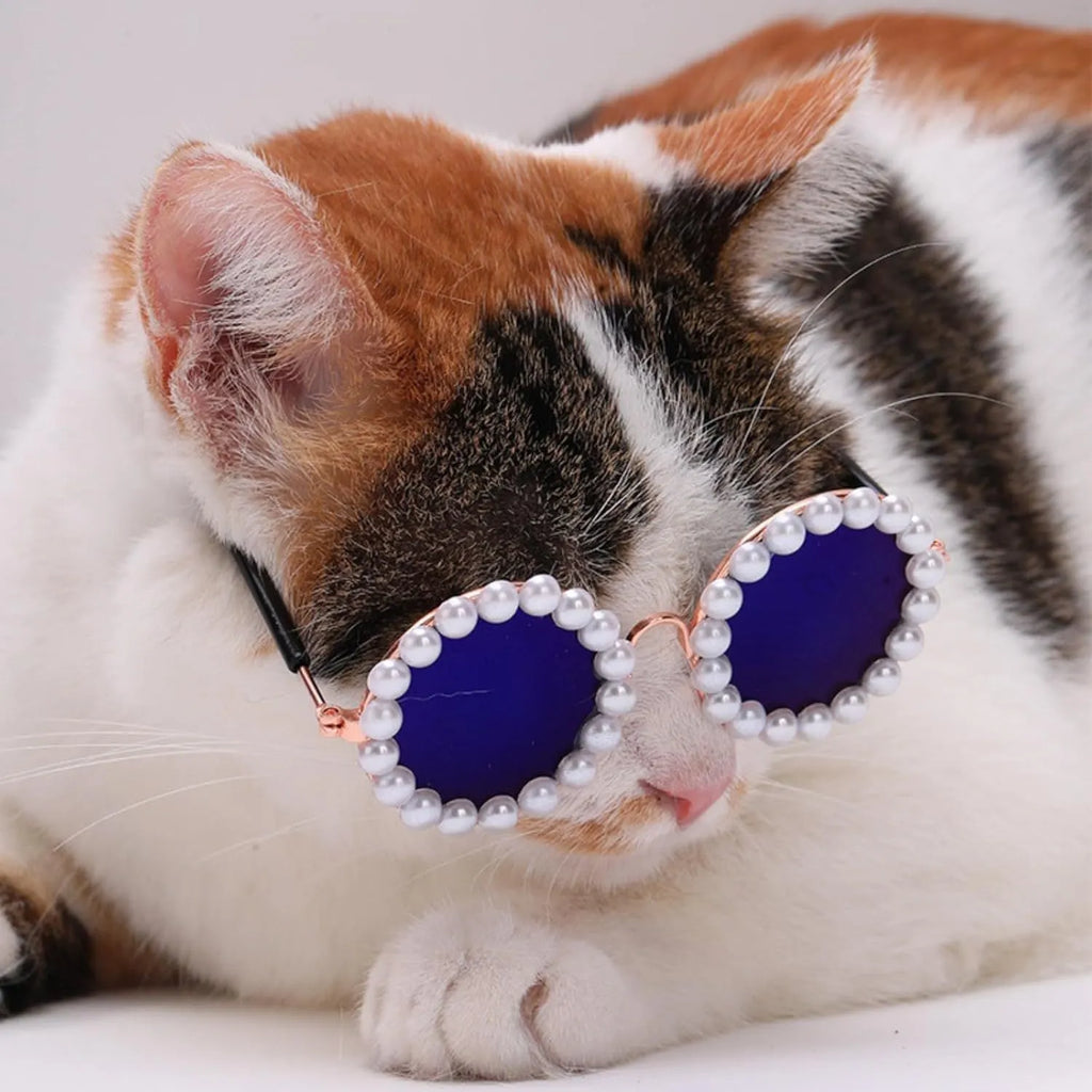 Pearl-rimmed round sunglasses on a cat and dog for costume dress up