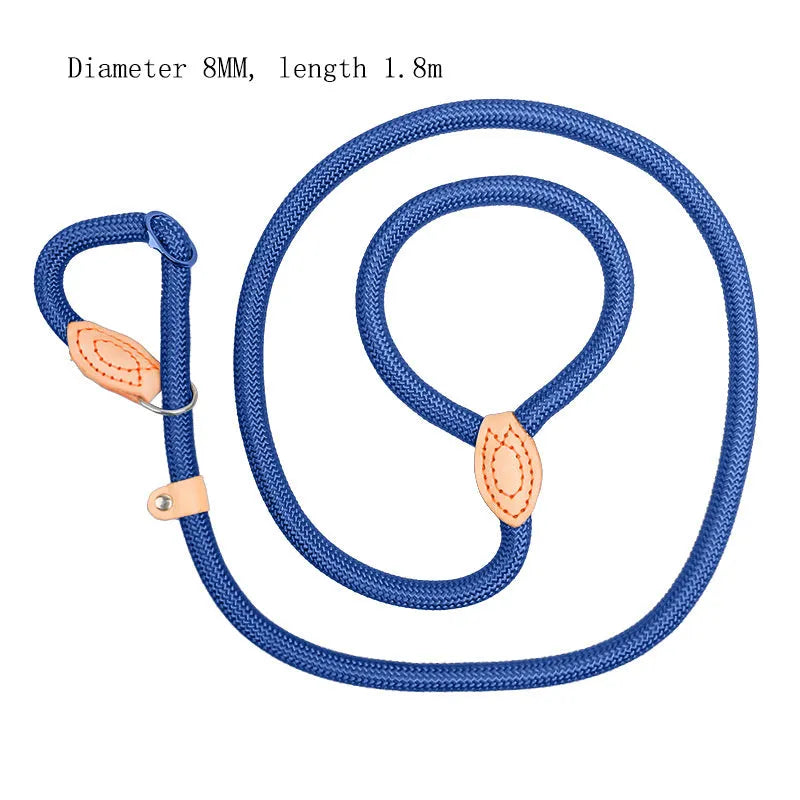 Specialised blast race training dog leash with automatic tightening nylon collar in multiple colour options