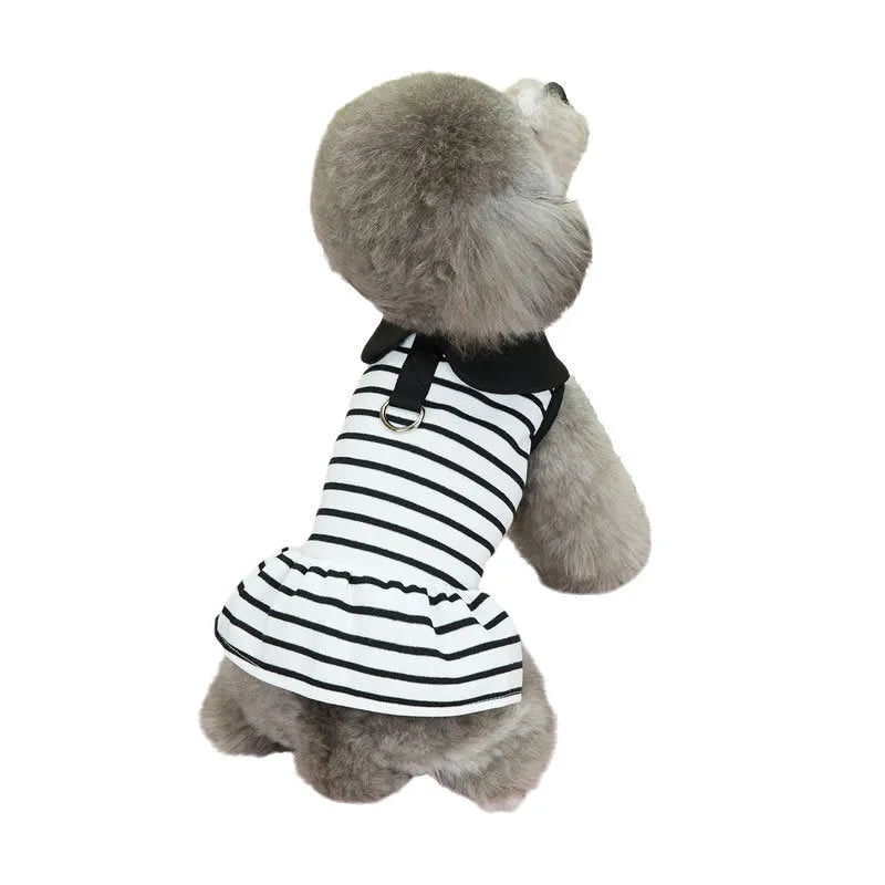 Dog wearing cotton summer T-shirt with matching striped skirt, showing complete two-piece outfit