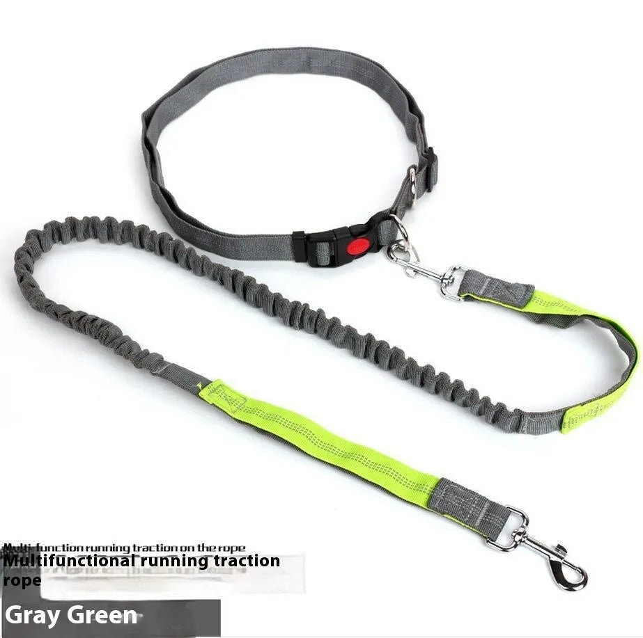 2.5cm wide outdoor running dog leash with night reflective sling in grey and green colour combination