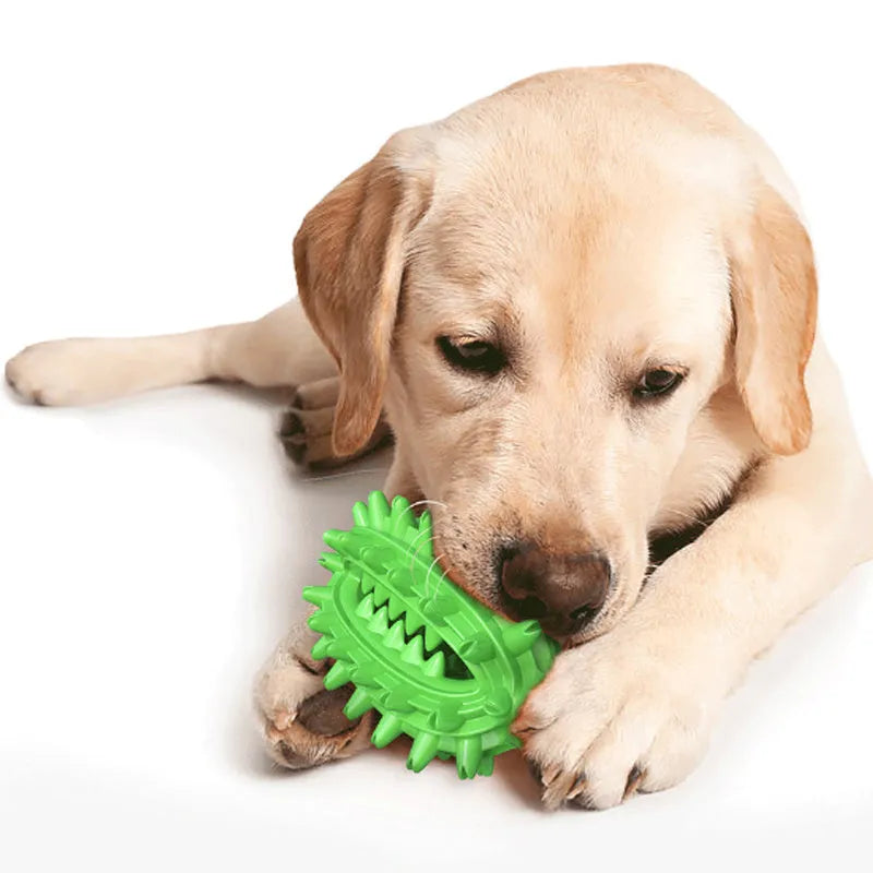 Green cactus-shaped dog toothbrush toy for dental cleaning with textured bumps