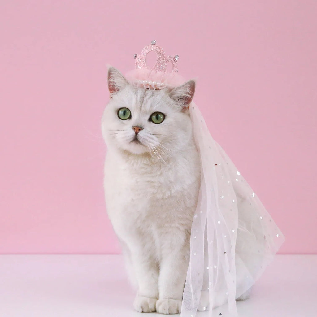 Pet wedding princess crown headdress for cats with cotton polyester construction and veil options