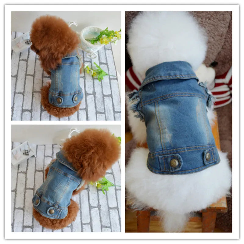 Denim dog vest with retro scratch pattern in dark colour on small breed dog
