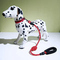 Reflective dog collar with decorative necklace and leash in black, blue, green, pink or red, sizes XS to L