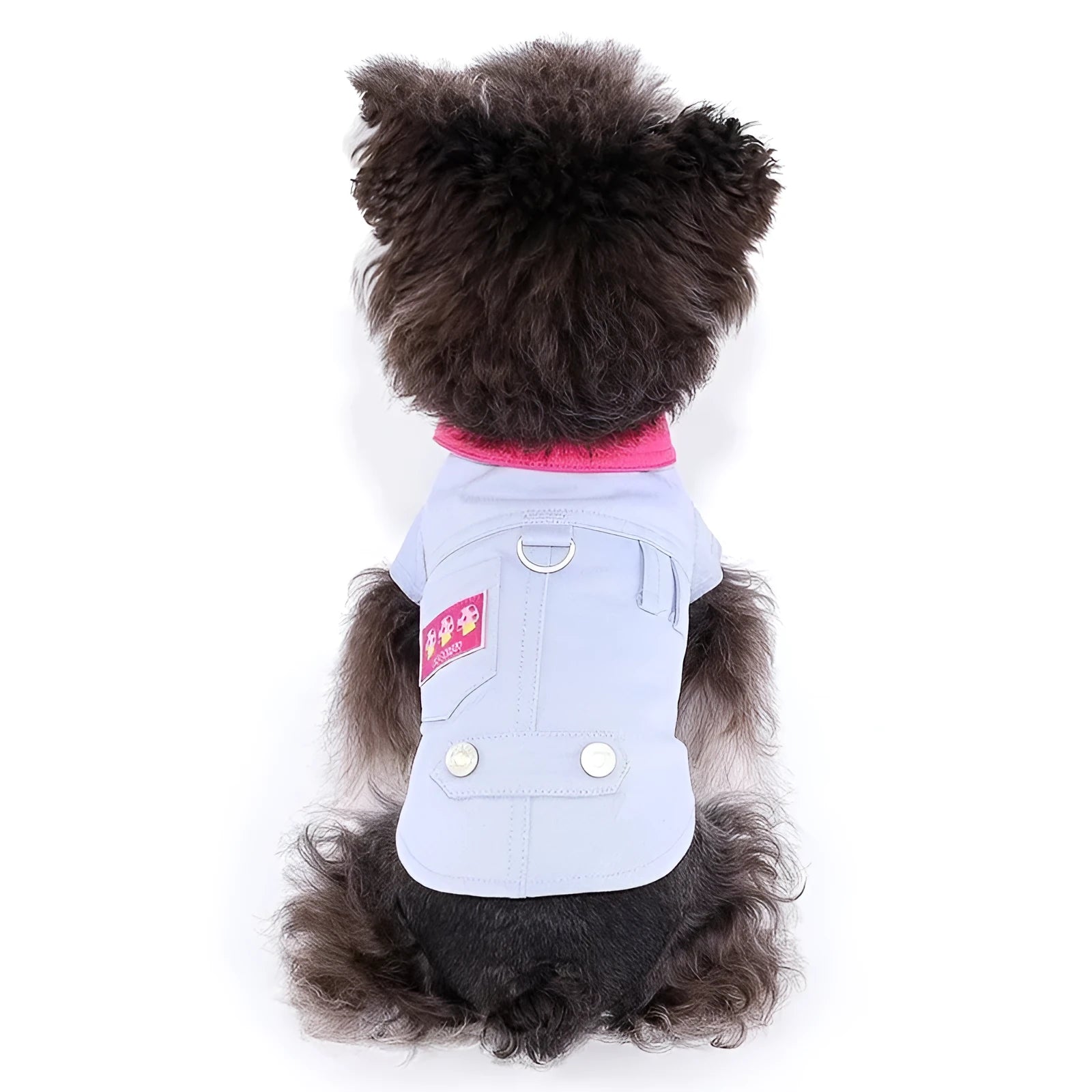 Blue and purple polyester dog vest with integrated traction rope ring for small dogs