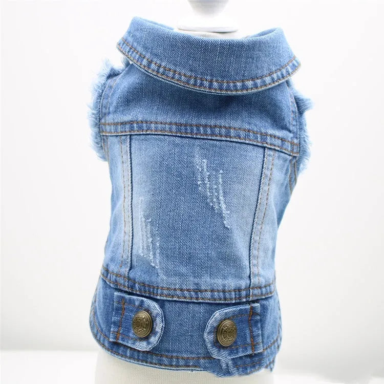 Denim dog vest with retro scratch pattern in dark colour on small breed dog