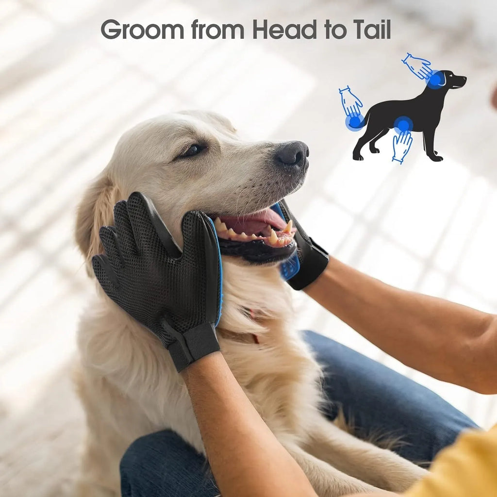 Blue silicone pet grooming gloves with silicone tips for removing hair from dogs and cats.
