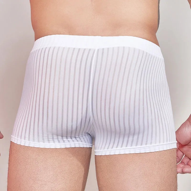 Men's striped transparent underwear in black, white and dark grey colours showing thin nylon fabric