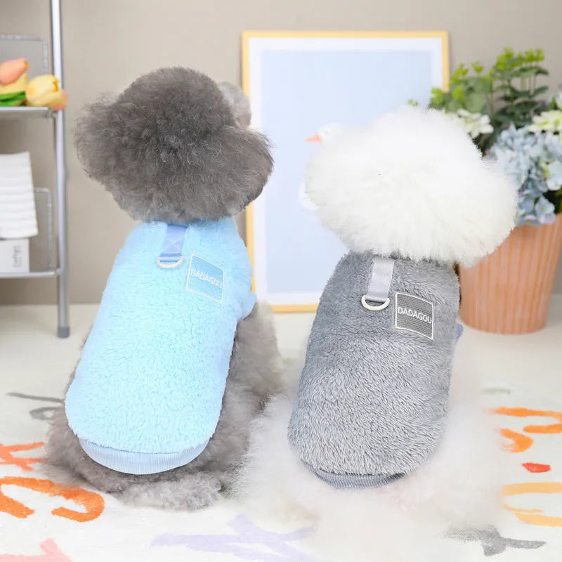 Blue coral fleece jacket on a small dog, showing soft texture and casual fit.