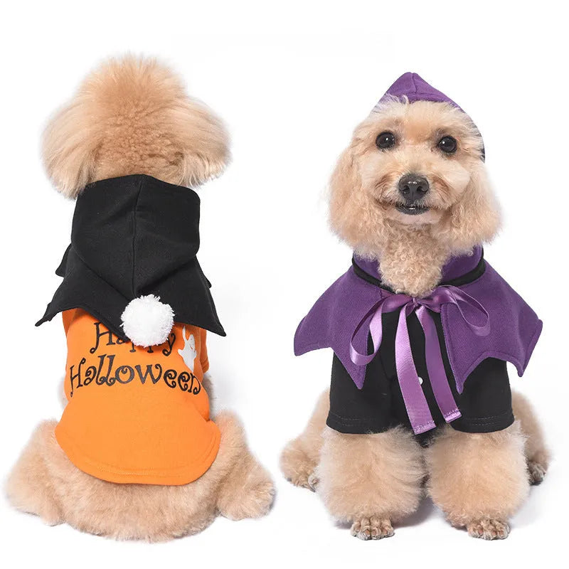 Halloween pumpkin dog sweater and shawl set in black and orange colours
