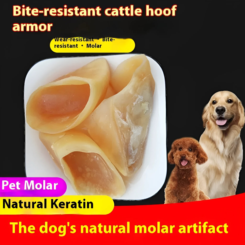Natural cowhide dog grinding rod chew with hoof shell attachment in two size options