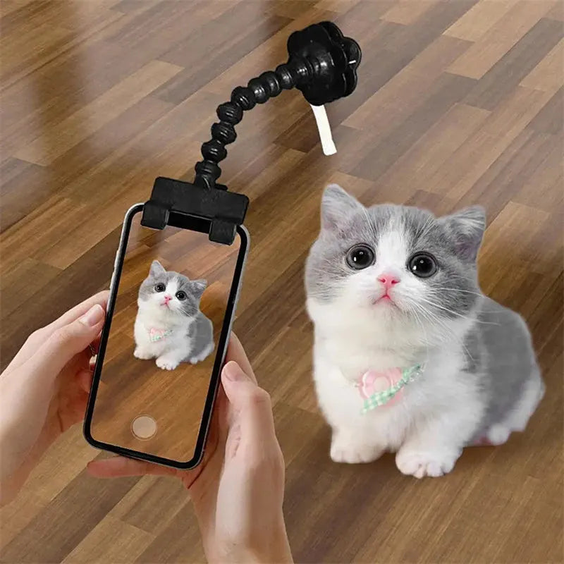 Black pet photography mobile phone holder with snack clip for attracting cat and dog attention during photos