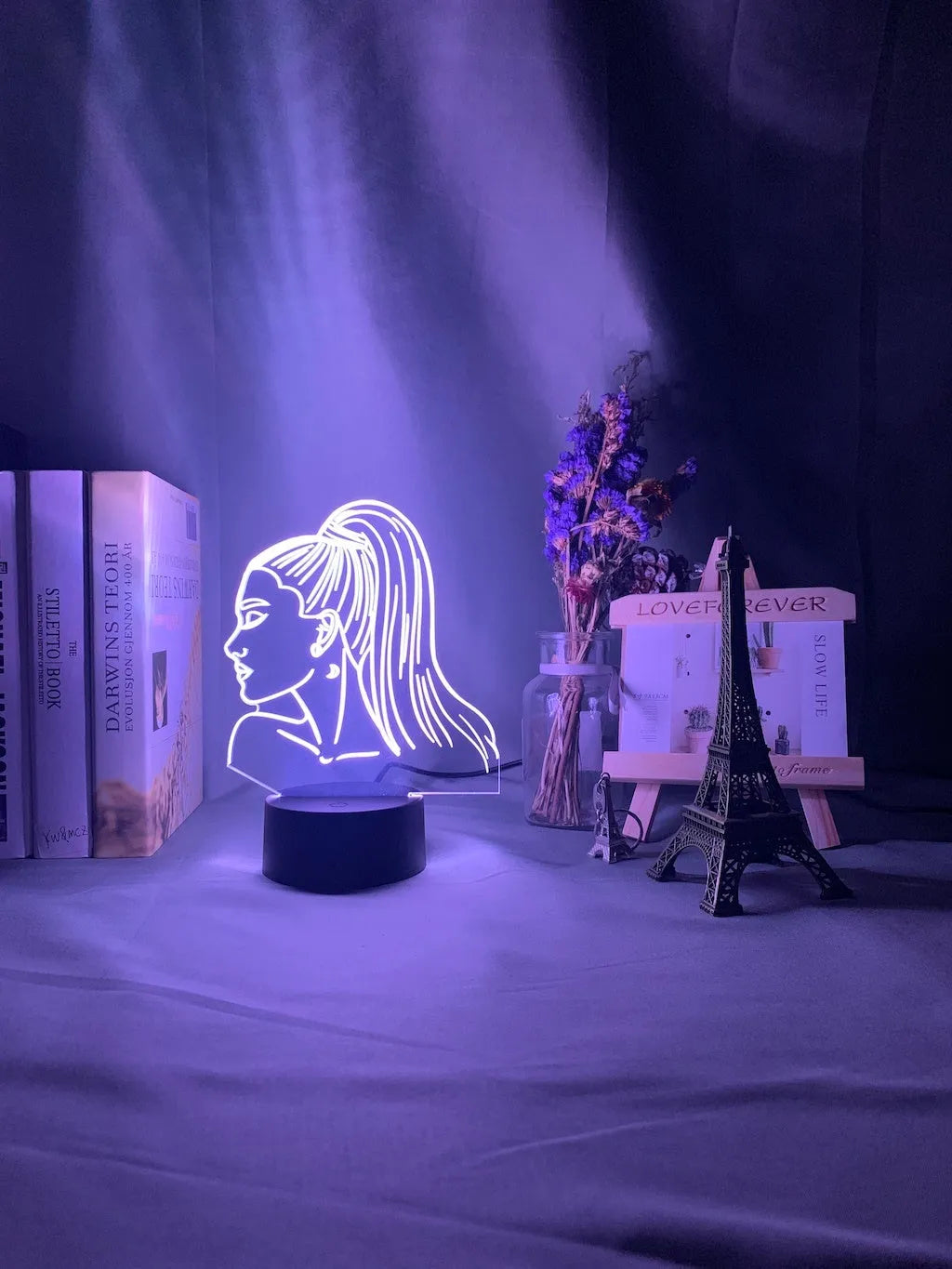 European style 3D acrylic night light showing colourful LED illumination through the sculpted shade.