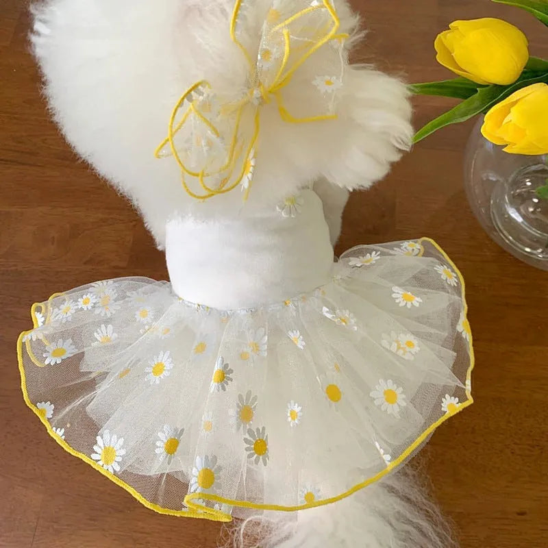 Yellow little daisy print dog clothes with full body coverage including all four legs
