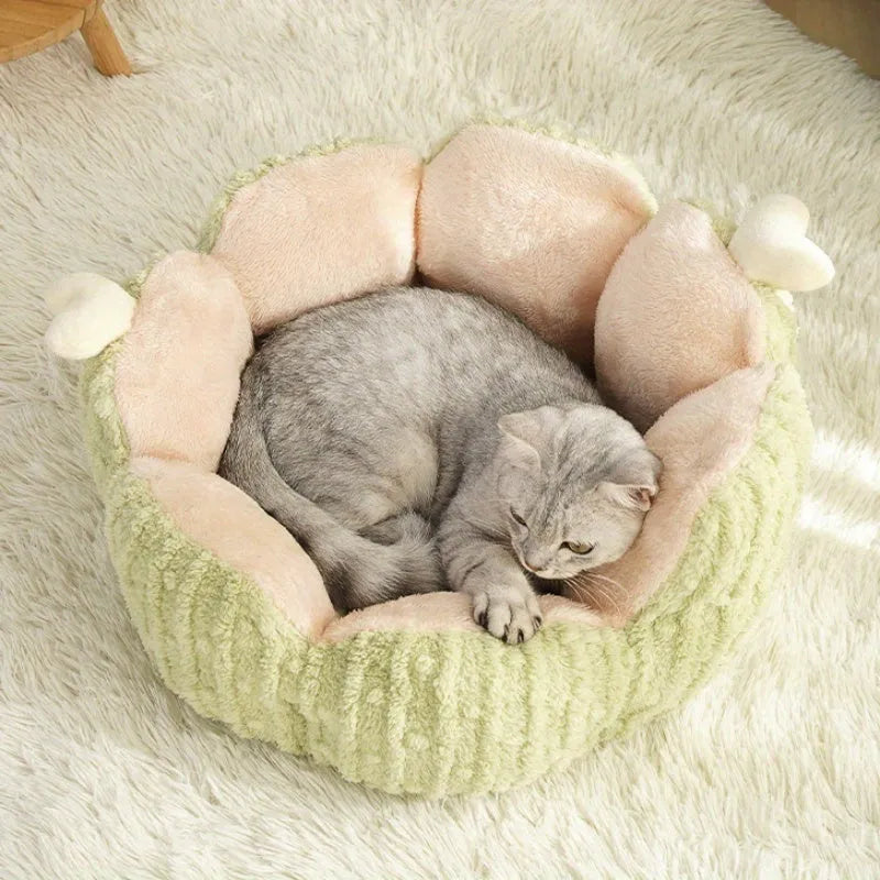 Purple cactus design cat litter kennel bed for indoor cats and small dogs