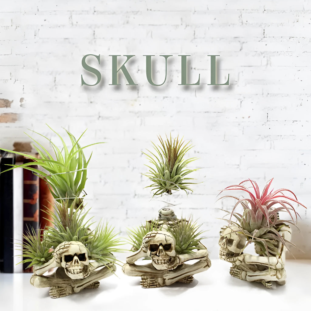 Gothic skull design resin Tillandsia bracket planter with iron mounting bracket