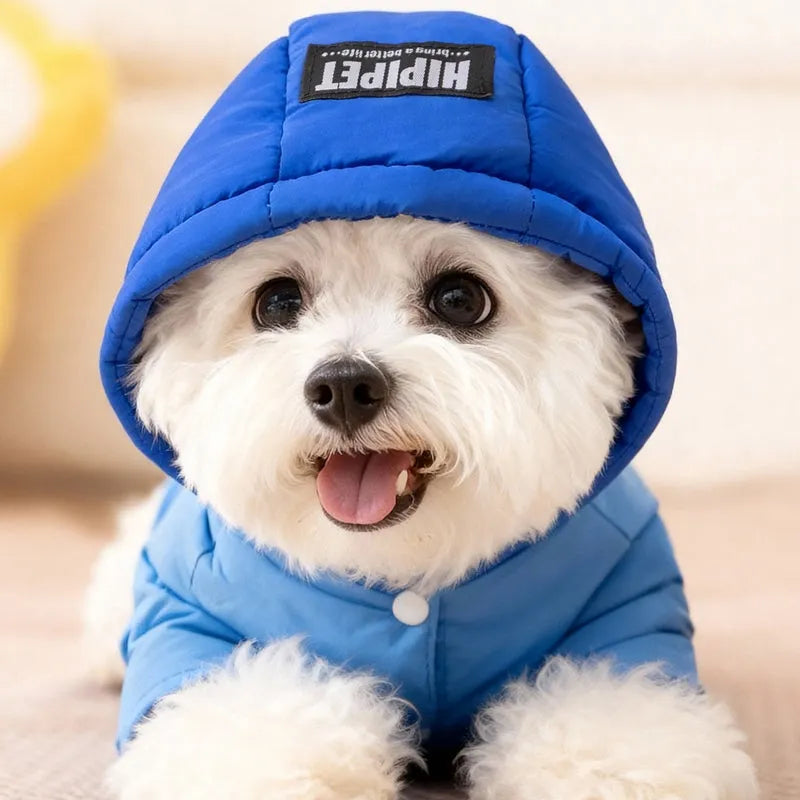 Blue padded dog snowsuit with hood, bear print pocket and metal leash ring for small dogs and cats