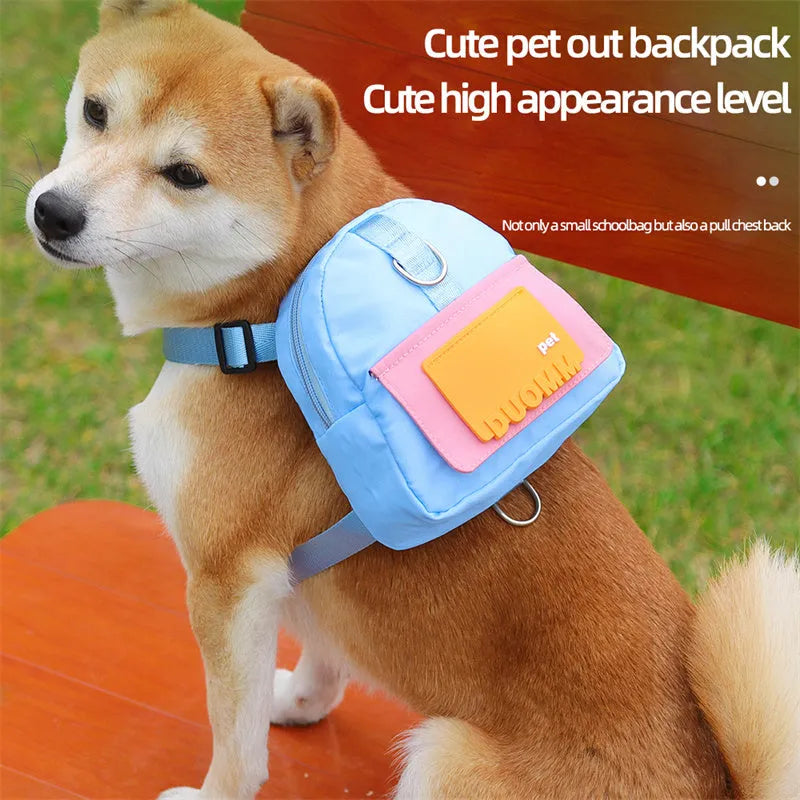 Blue dog backpack with harness and storage compartment for snacks during outdoor activities
