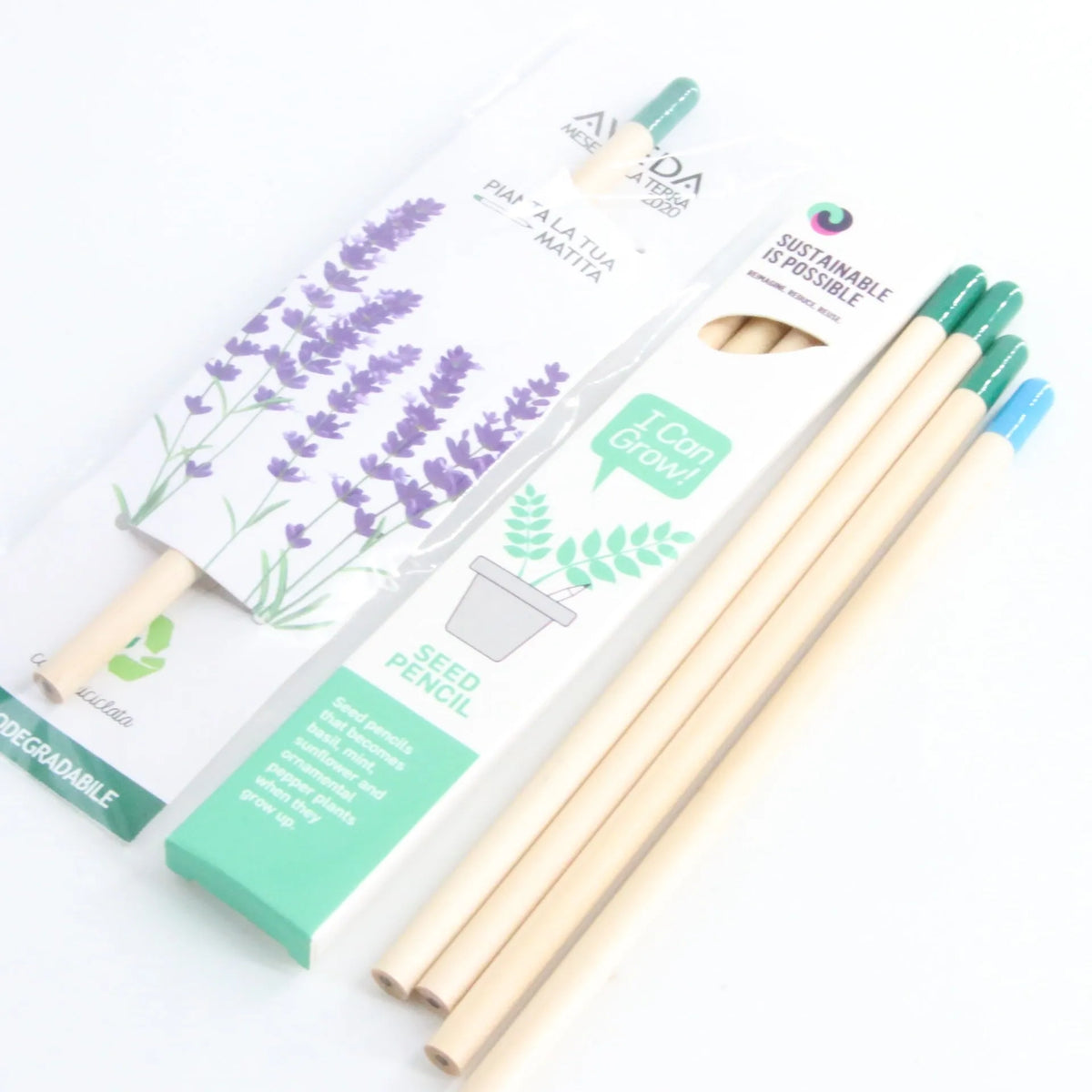 Seed pencil with coloured degradable capsule containing plant seeds next to a potted seedling.