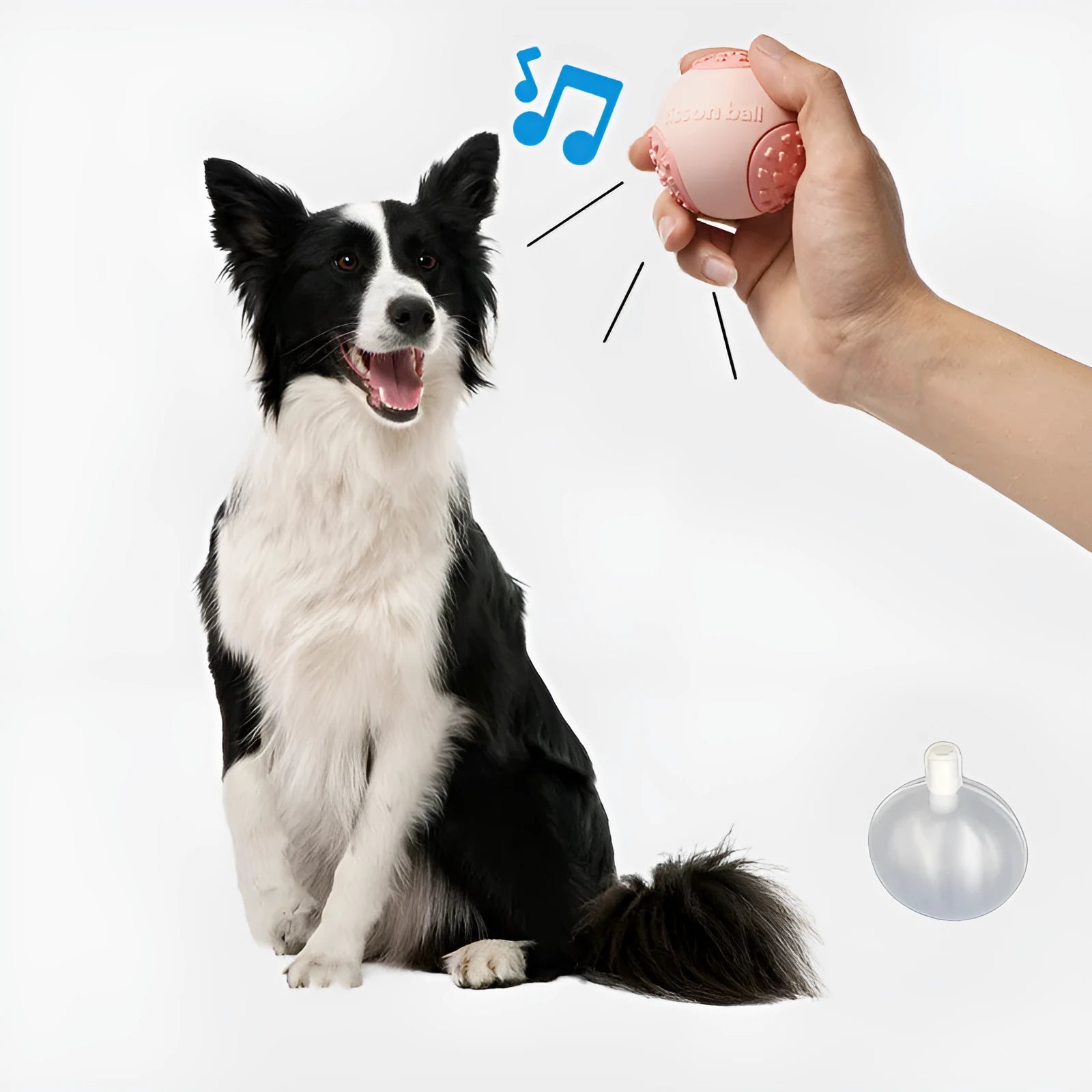 Green interactive rolling ball dog toy for small medium dogs, 64mm diameter