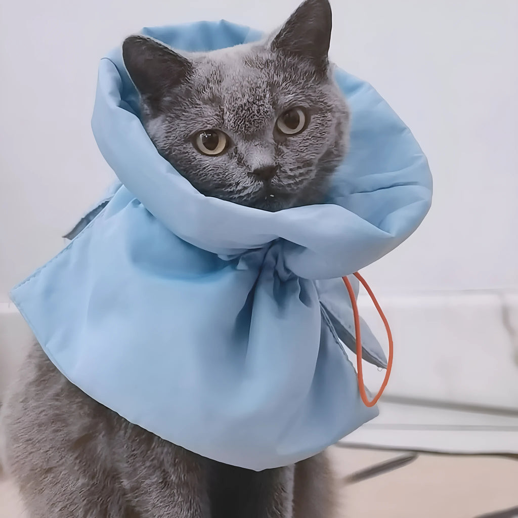 Soft adjustable Elizabethan recovery collar for cats in blue, shown on a cat to prevent licking.