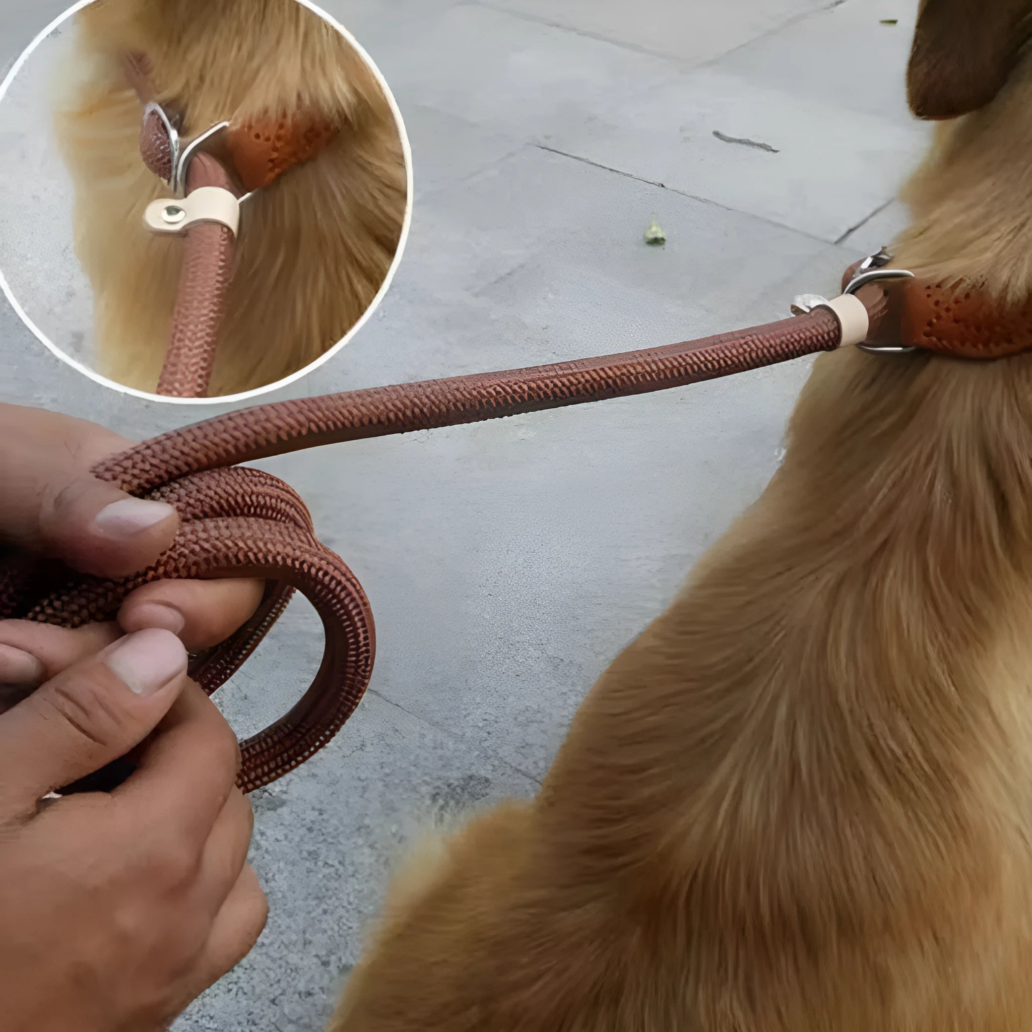 Brown nylon dog leash with 2.1 metre length and dual-thickness rope design