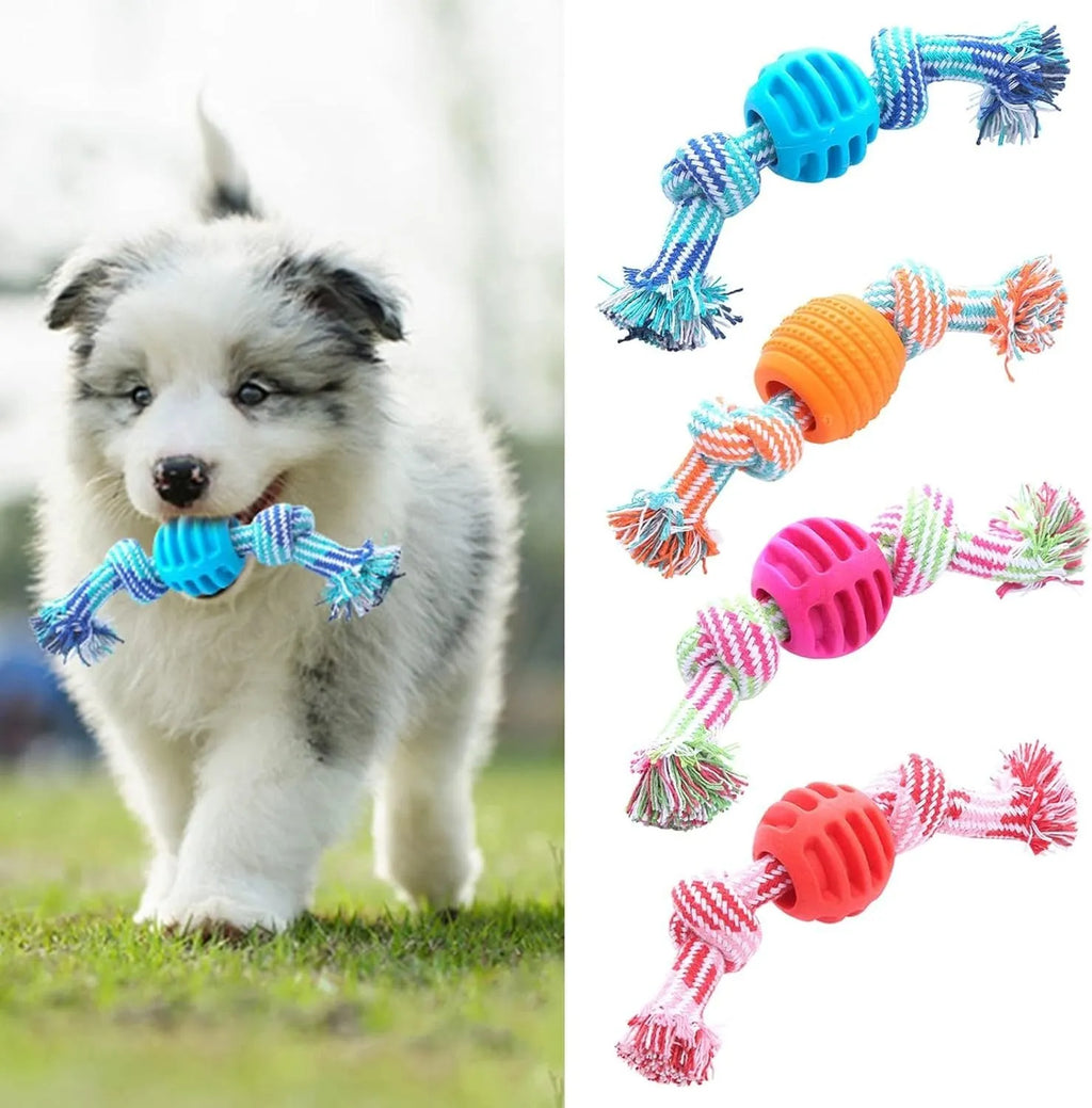 Blue dog chew toy with molar-shaped rubber section and dental cleaning rope strands