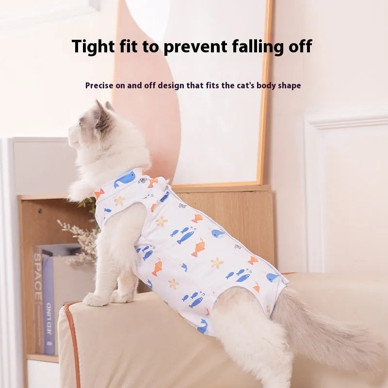 Cat wearing a blue post-operative recovery bodysuit with Velcro straps after sterilisation surgery.