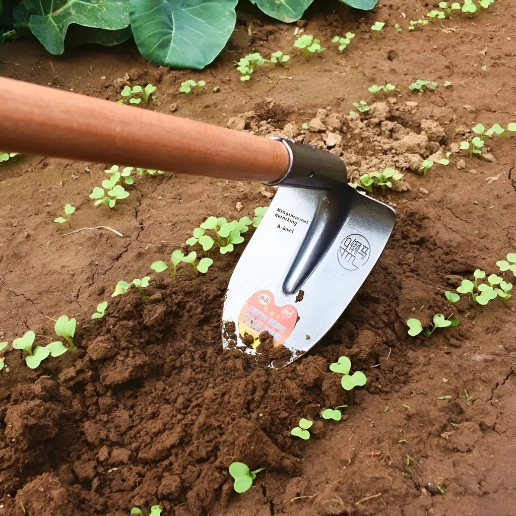 Steel horse pointed agricultural hoe with a flat blade and pointed tip for weeding and soil ripping.