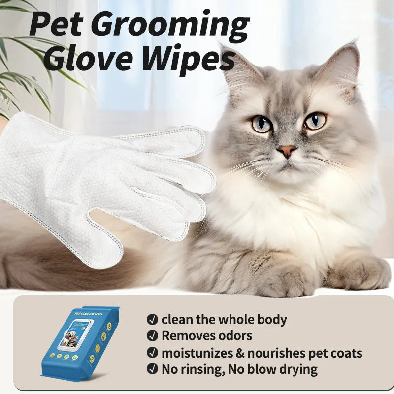 Pack of disposable pet gloves for cat bath cleaning and grooming supplies